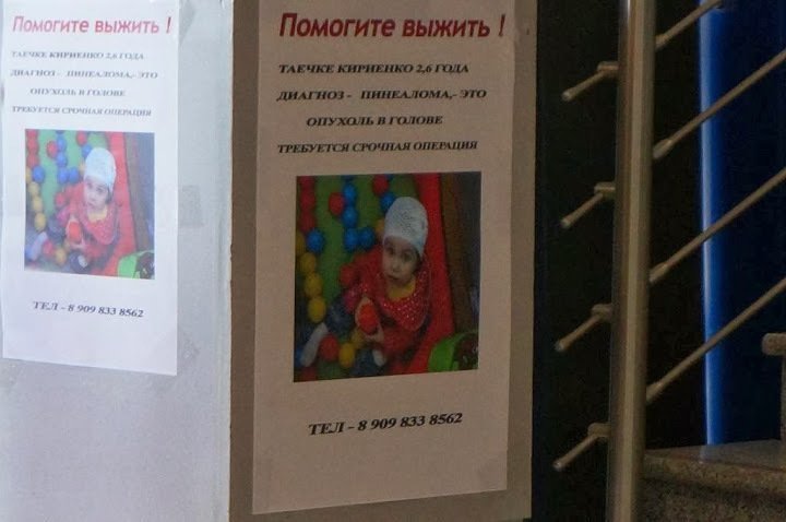 Мошенники в сфере благотворительности