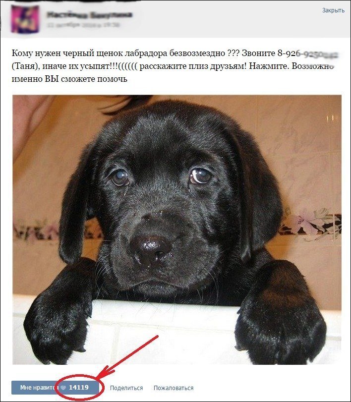 Мошенники в благотворительности
